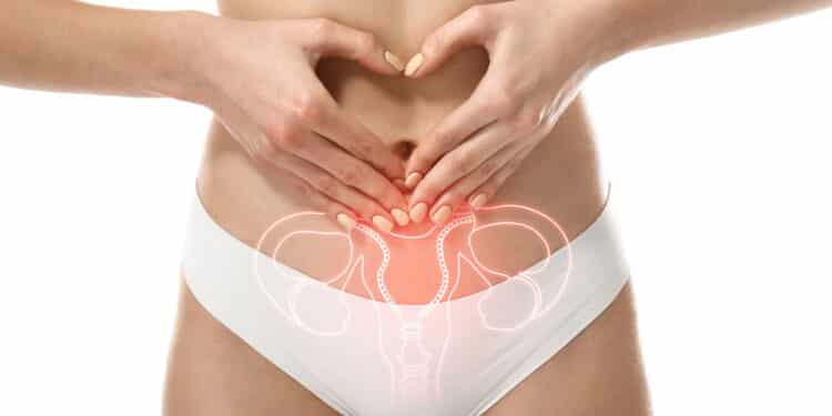 Young woman with drawing of reproductive system on white background, closeup